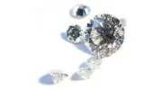 Jewelry Judge