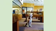 Burri Jewelers