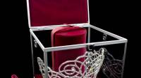 Exclusive Crown Cases Royal Protection in Style